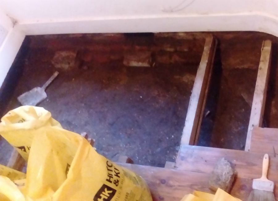 dryrot-tooting-2