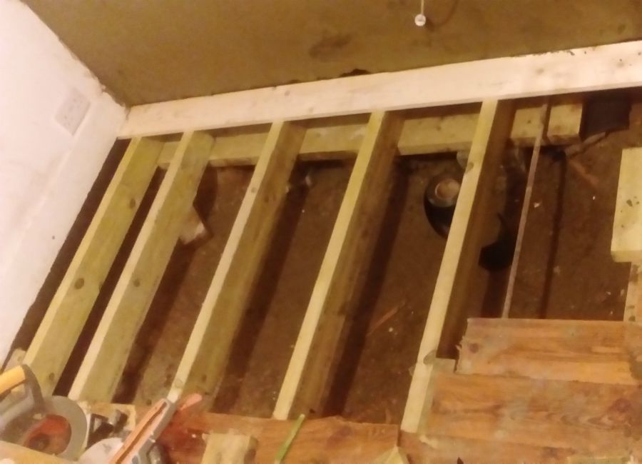 dryrot-tooting-3
