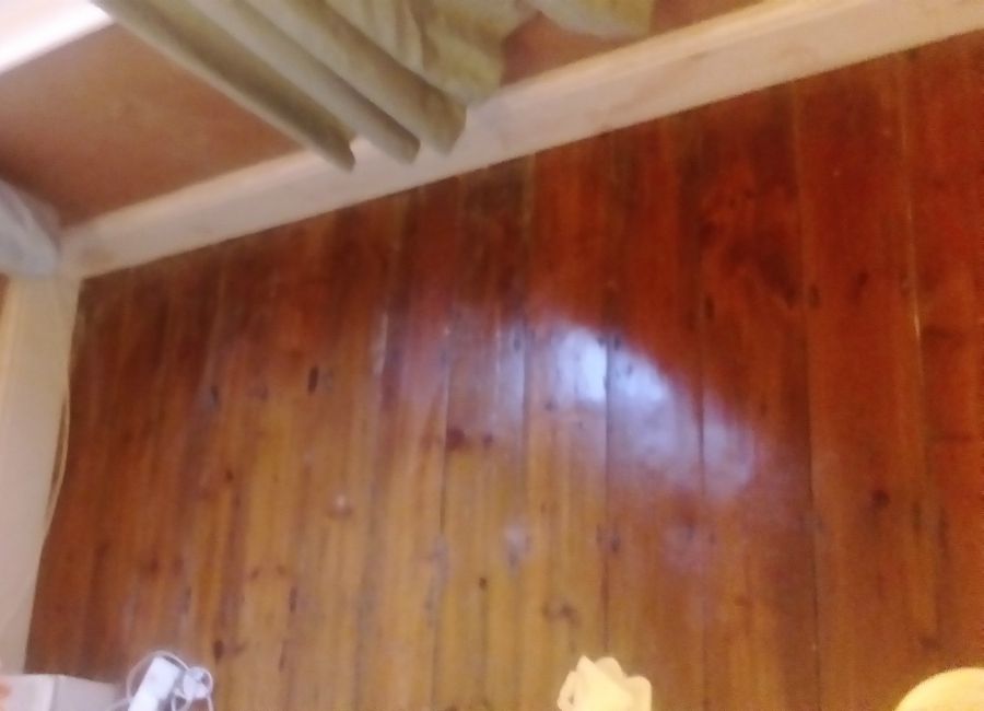 dryrot-tooting-4