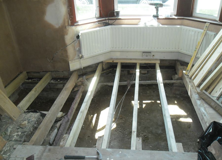 clapham-woodworm