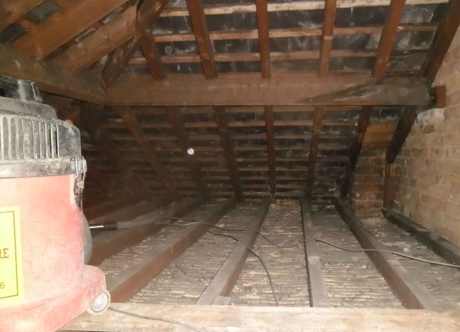 collierswood-woodworm